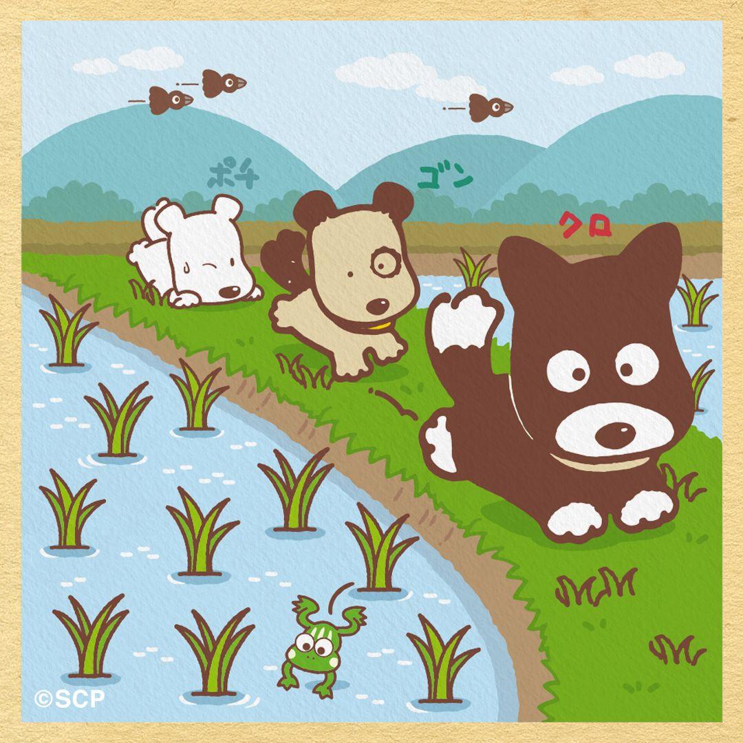 うちのタマしりませんか　正方形3