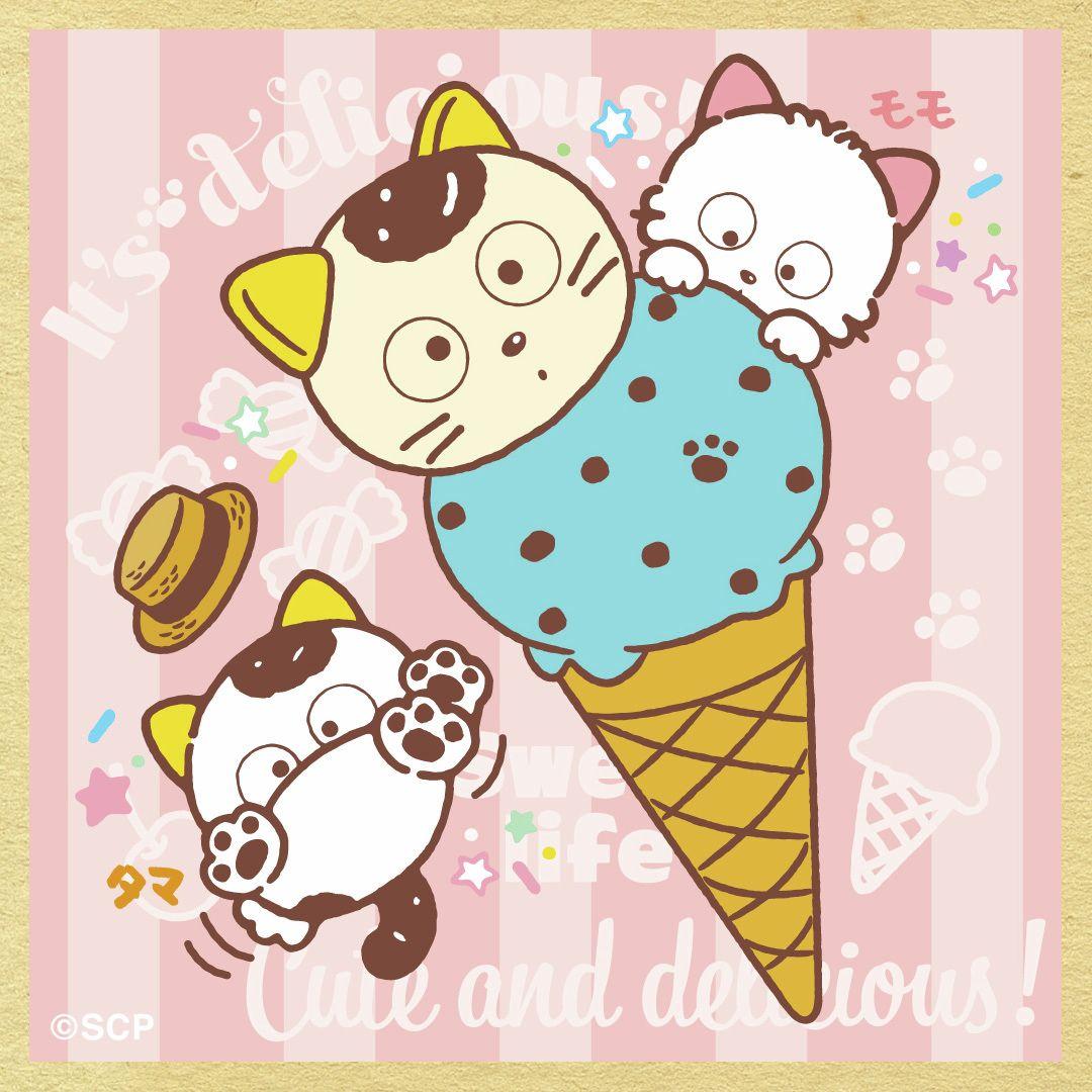 うちのタマしりませんか　正方形3