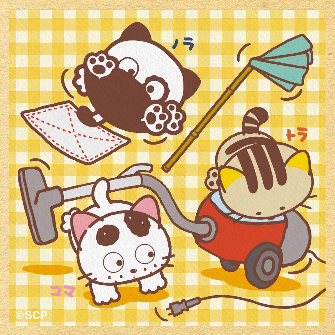 うちのタマしりませんか　正方形3