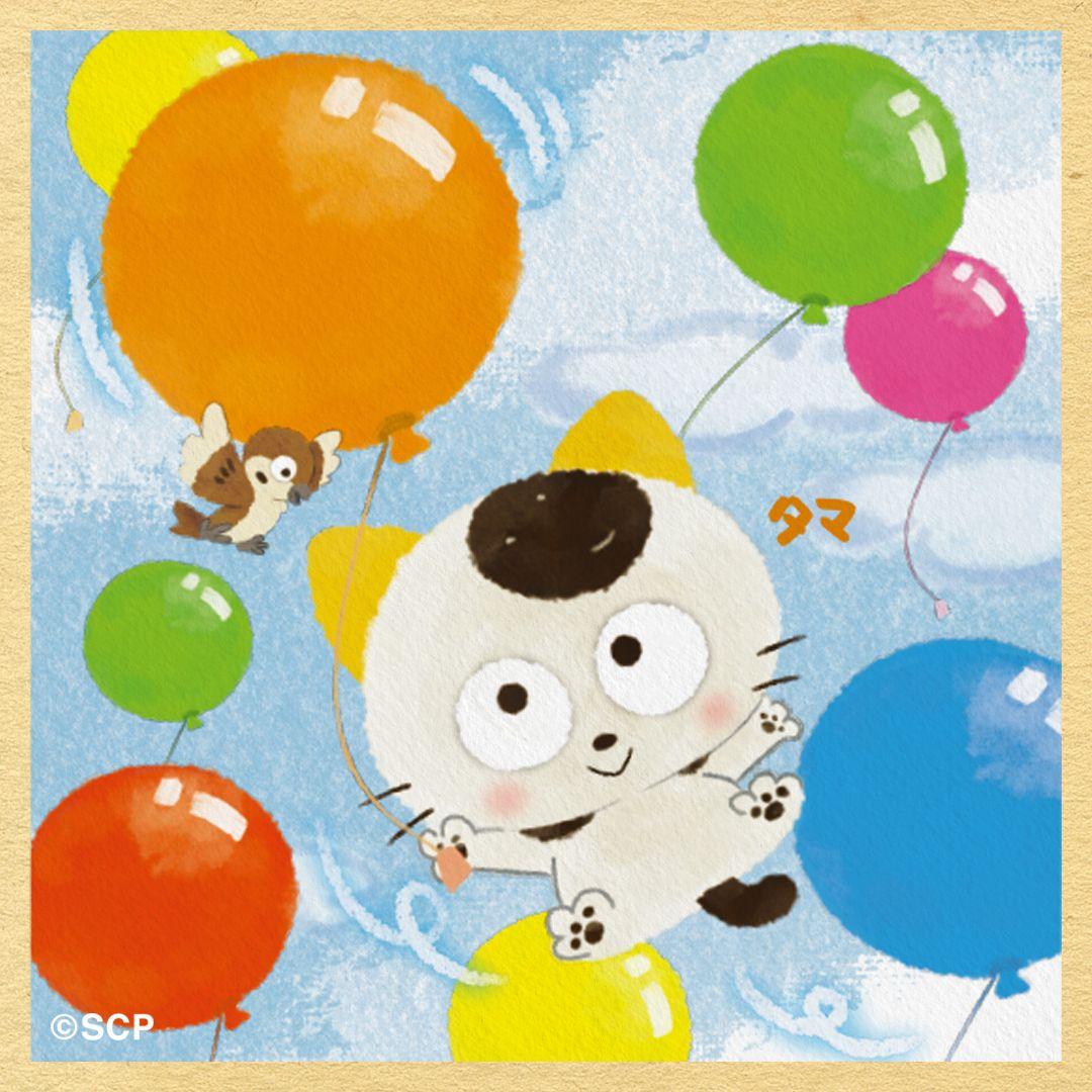 うちのタマしりませんか　正方形3