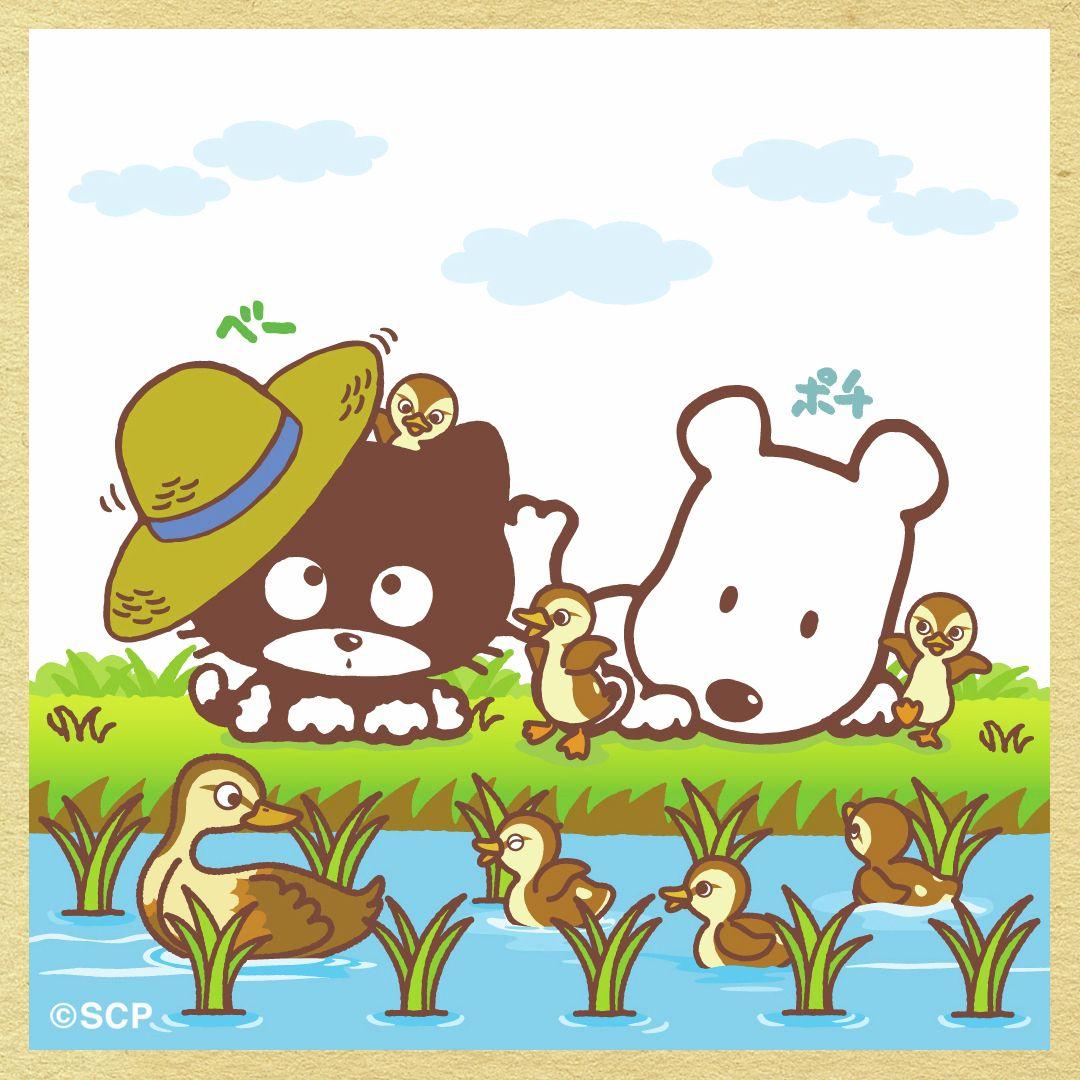 うちのタマしりませんか　正方形3