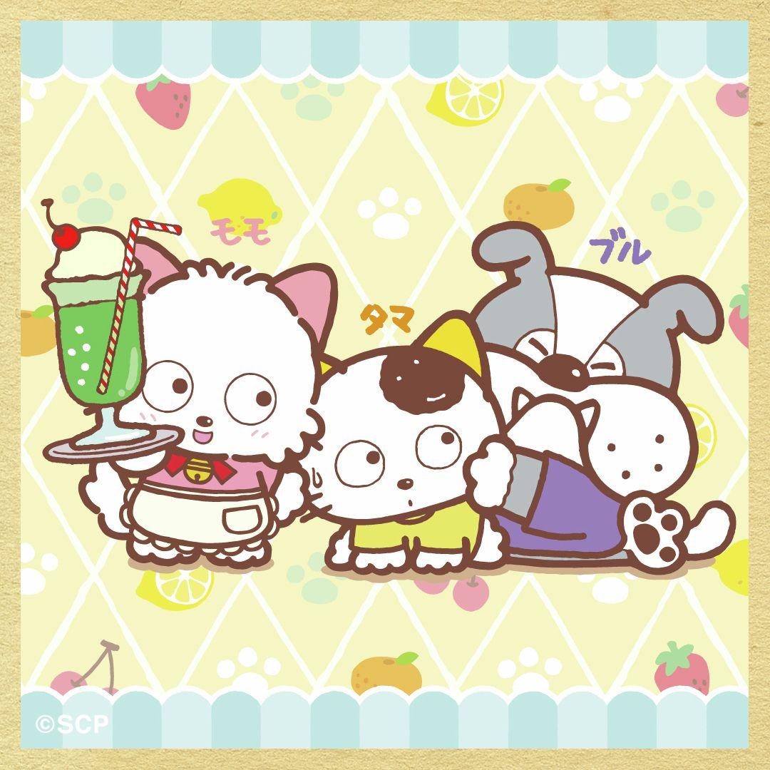 うちのタマしりませんか　正方形3