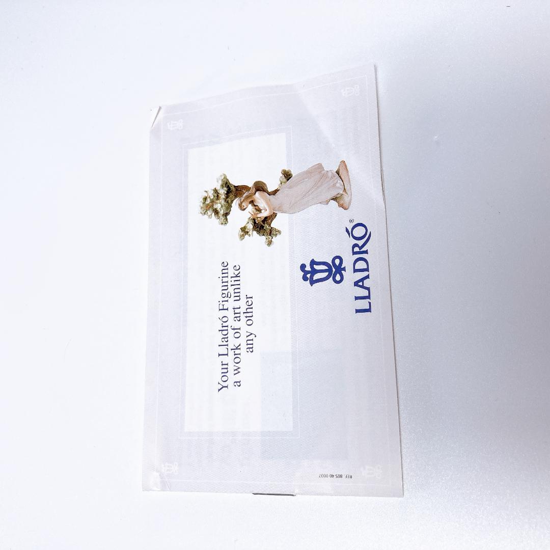 LLADRO リヤドロ きれいにしましょうね 少女・犬　05455|2616|☆