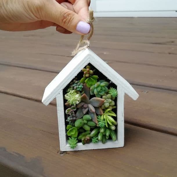 多肉の壁掛けインテリア