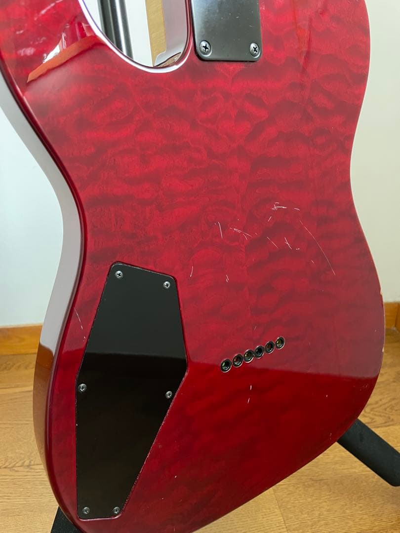 ESP EDWARDS E-D-TE ディルアングレイ