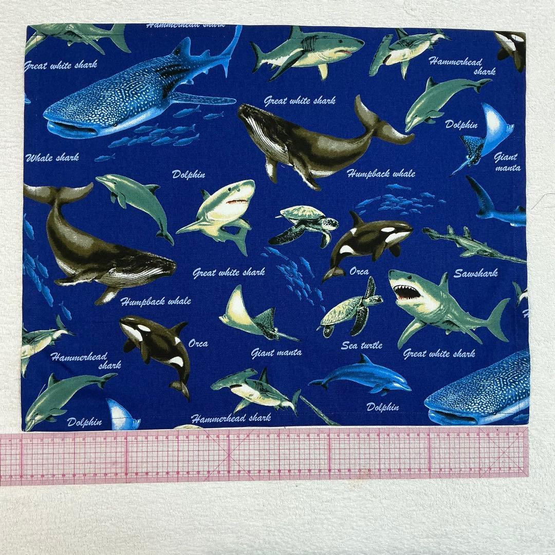 99 魚 海 給食セット×5枚 小学校 ランチョンマット ネームタグ 入学