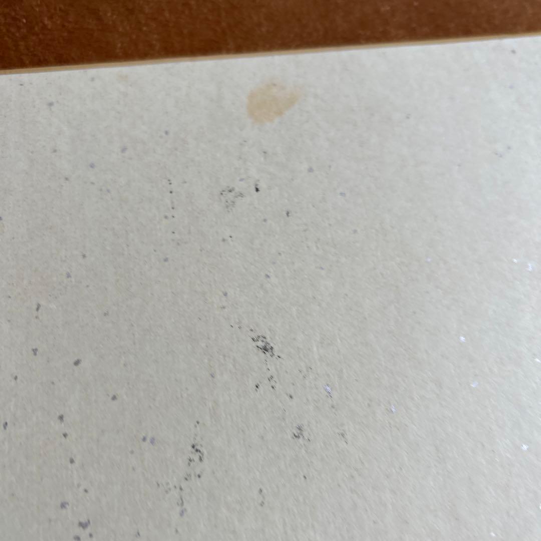 女性党首 土井たか子 色紙 社会党 - メルカリ