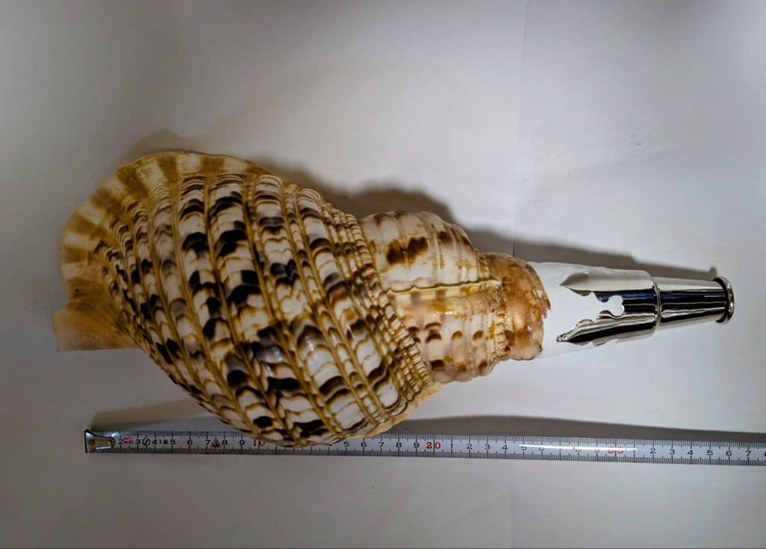 法螺貝　36.0cm 貝袋付　861g 28000円　山伏修験