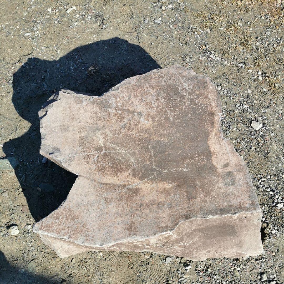 本小松石　197キロ　庭石　石　鑑賞石　庭　坪庭　ガーデニング　置物　オブジェ