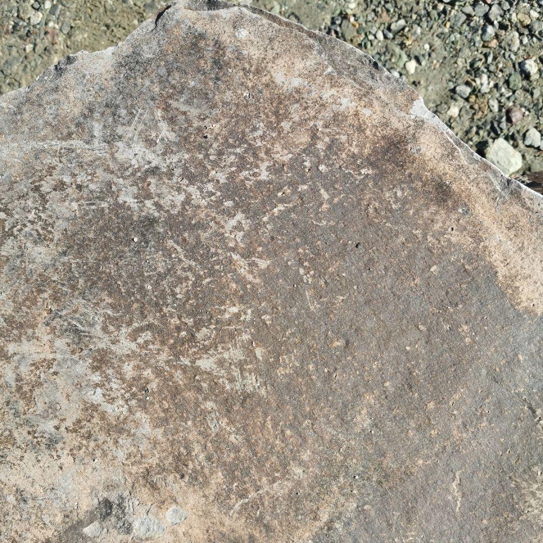 本小松石　197キロ　庭石　石　鑑賞石　庭　坪庭　ガーデニング　置物　オブジェ