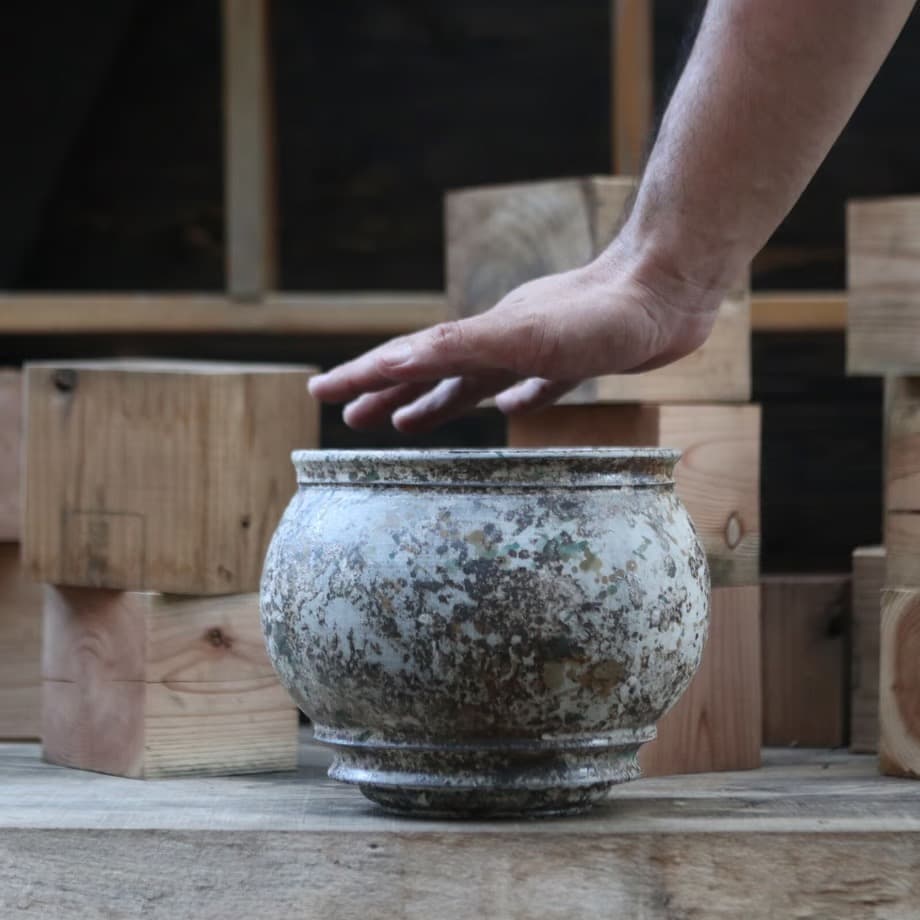 たけろうポット / 大鉢 / シロサビ+ミドリ【イベント限定鉢】(C)