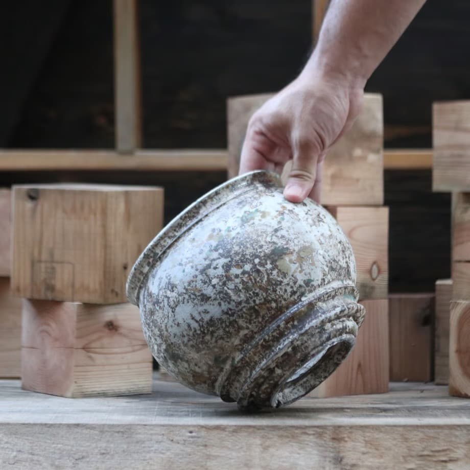 たけろうポット / 大鉢 / シロサビ+ミドリ【イベント限定鉢】(C)