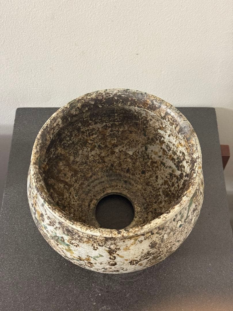 たけろうポット / 大鉢 / シロサビ+ミドリ【イベント限定鉢】(C)