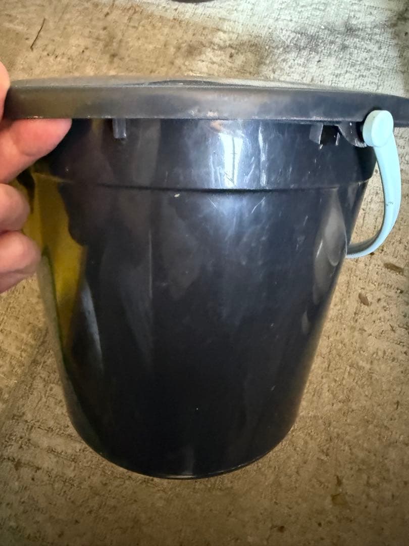 16000→今月ラスト価格13000 8インチ 30個　バケツジャストサイズ