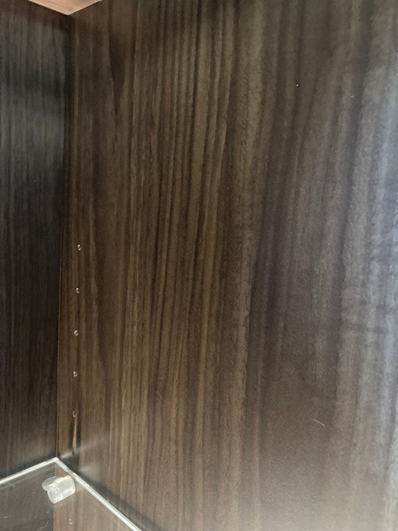 キュリオケース