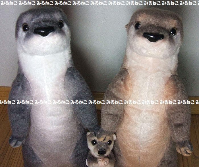 特大 アートドール リアルアニマルズ カワウソ 全2種 おねだり 未使用 セット