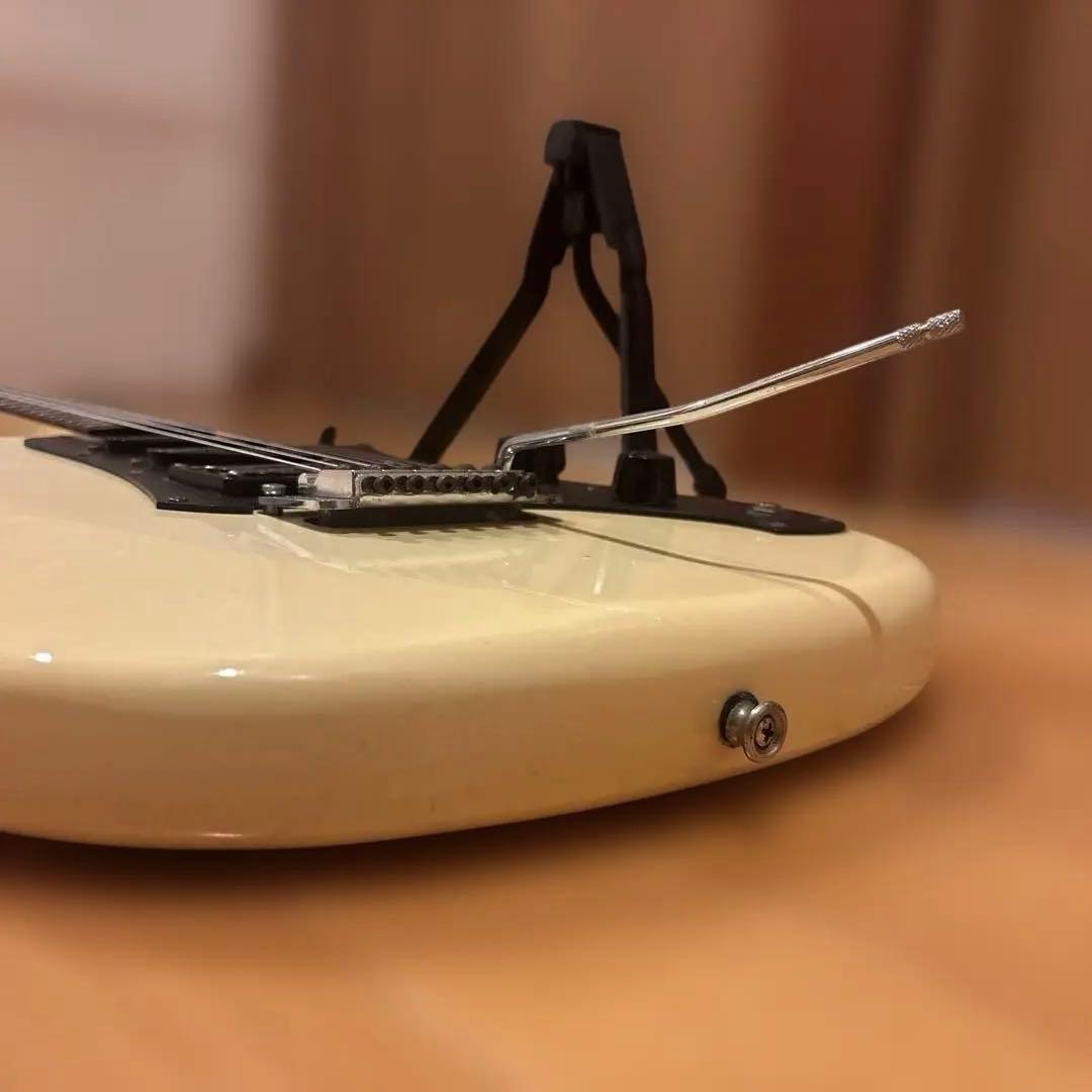 Kenさん専用】Aria Pro II RS Wildcat アーム付 新品弦 - メルカリ