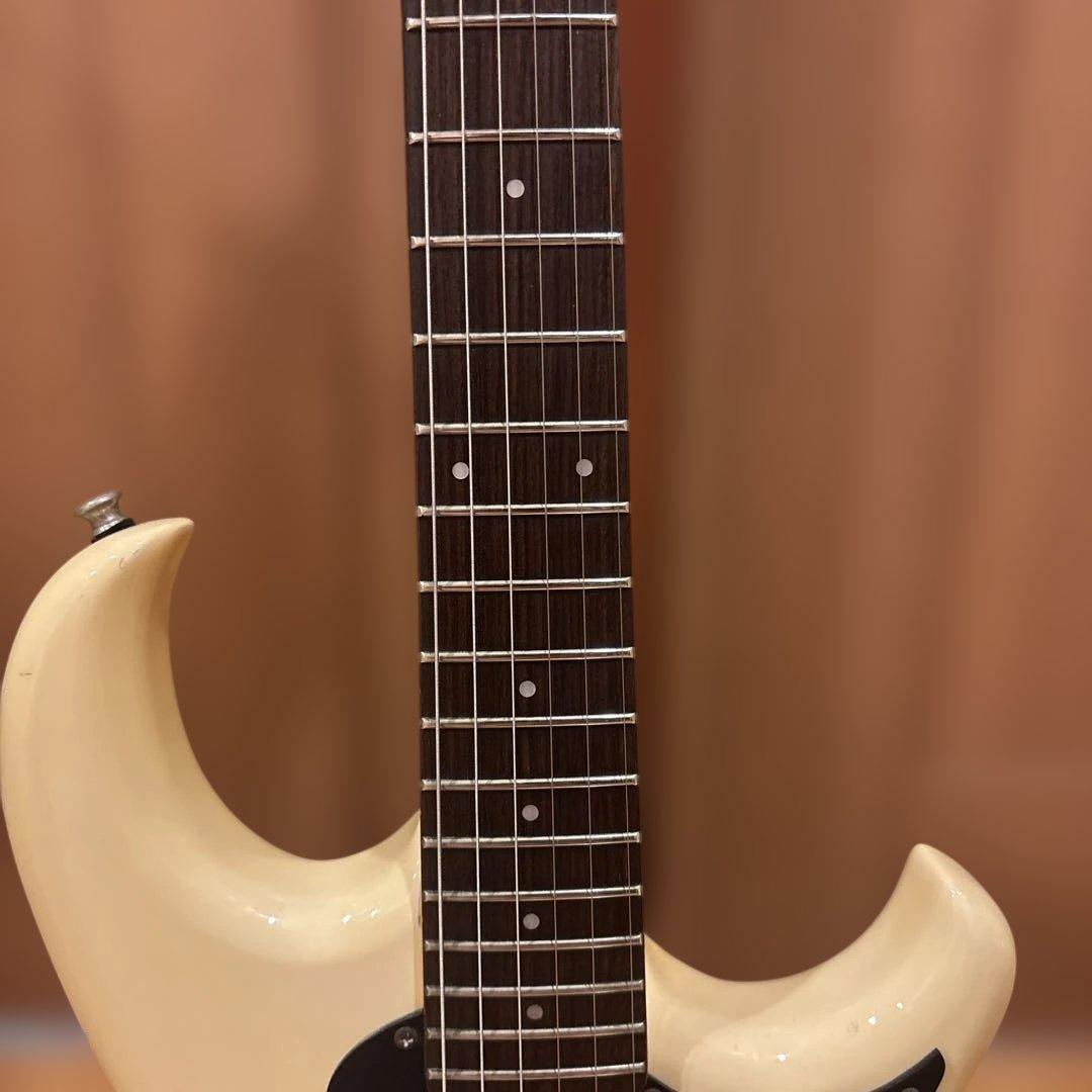 Kenさん専用】Aria Pro II RS Wildcat アーム付 新品弦 - メルカリ