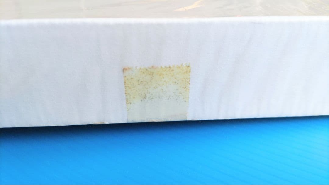 Welsh Models 1/144 B747/SP パンナム