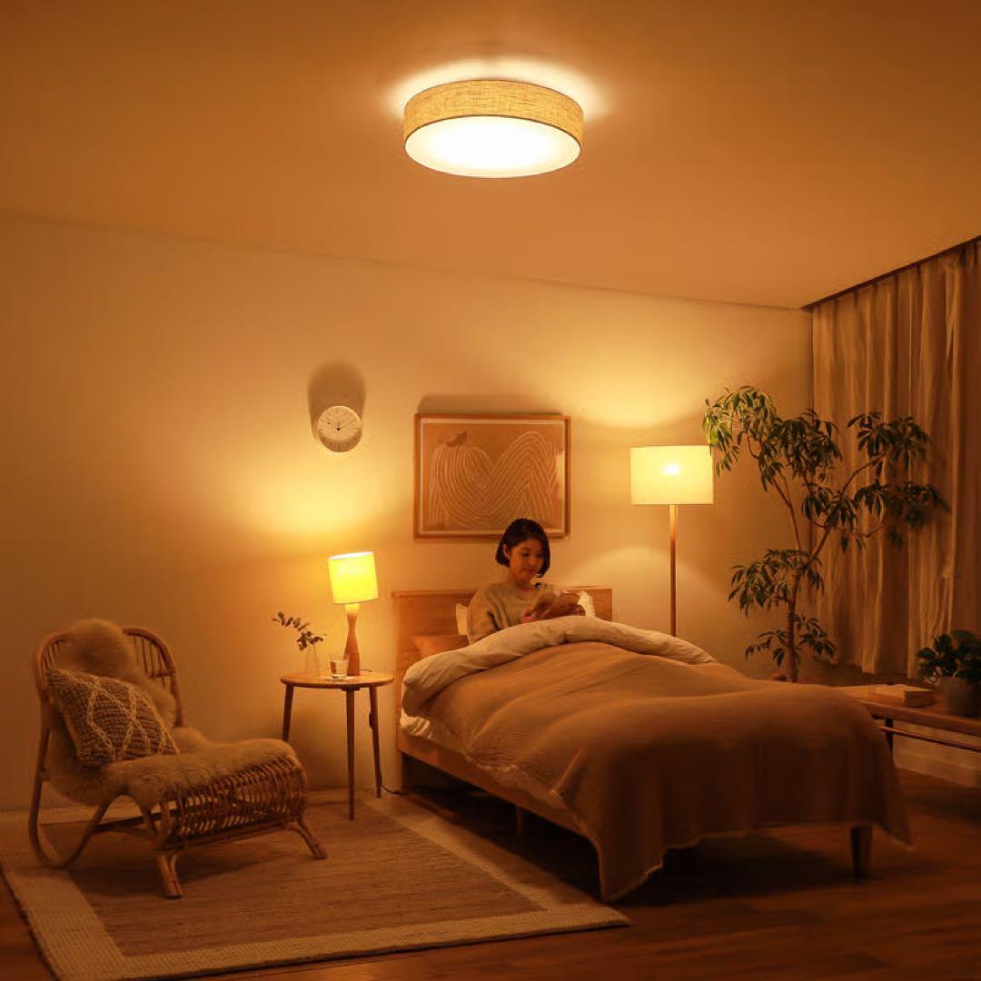 Re:CENO リセノ 天井照明 TEXASシーリングライト