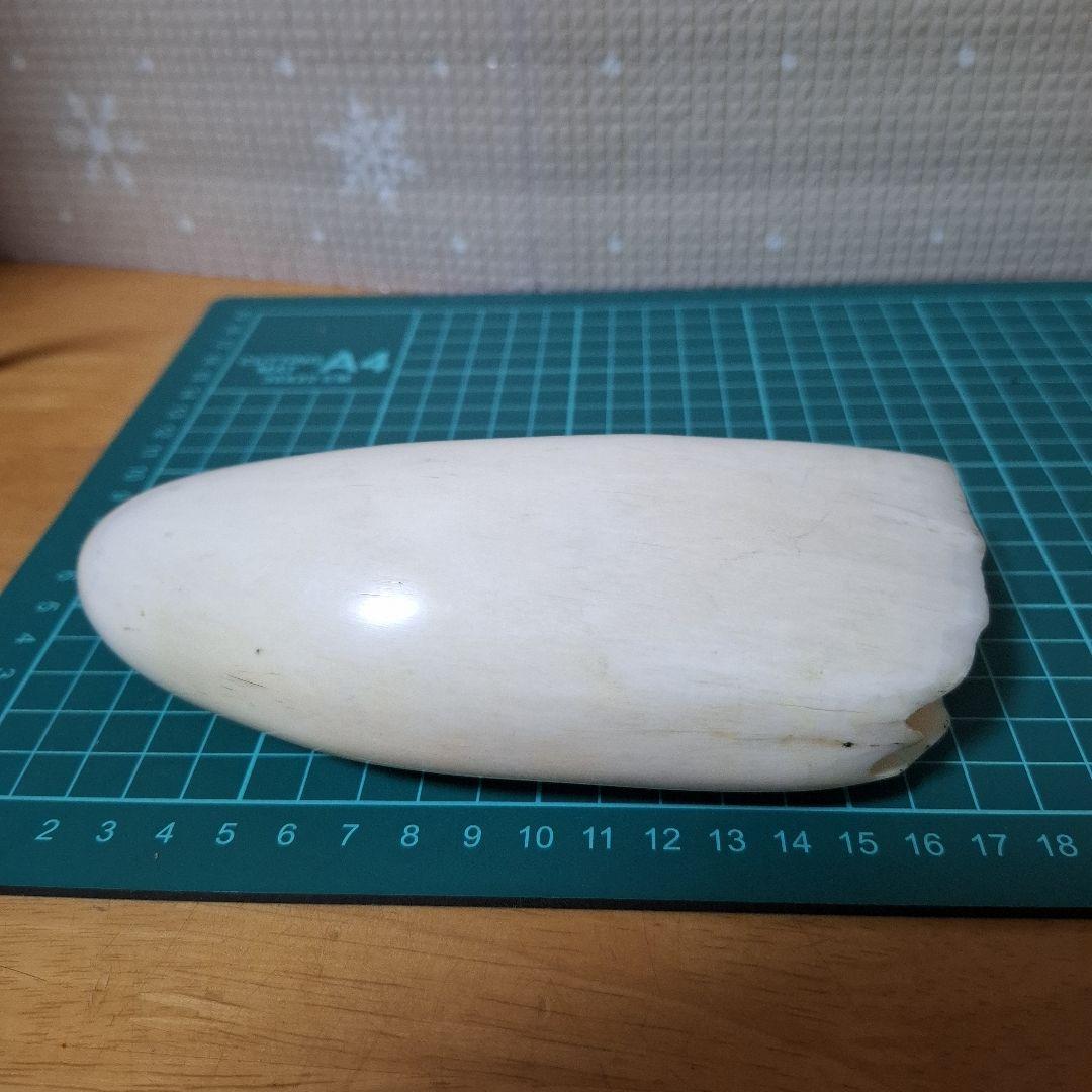 鯨の歯と台付き