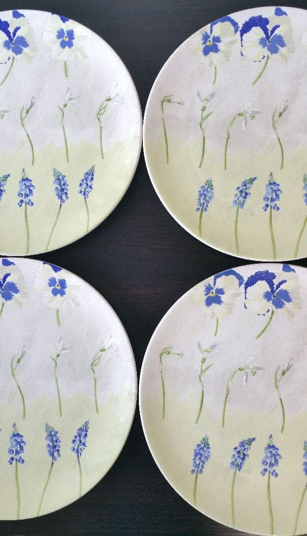 ジアン　アリス　30cm プレート　パーティー皿　4枚セット