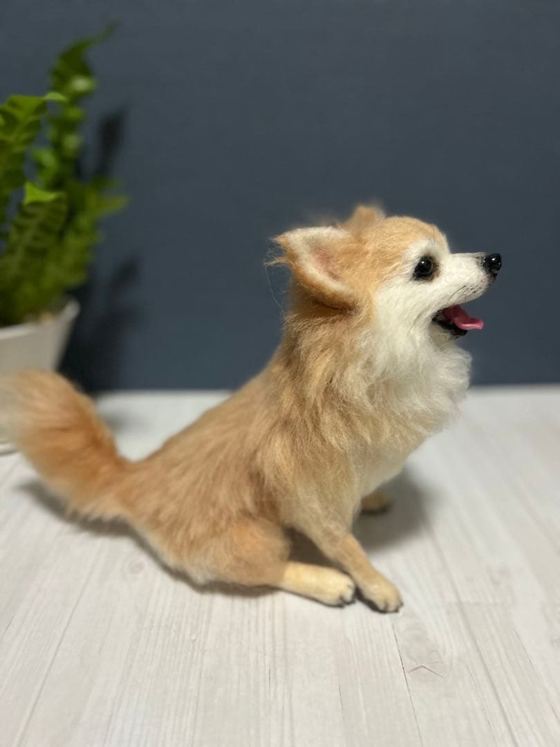 羊毛フェルト チワワ ロング