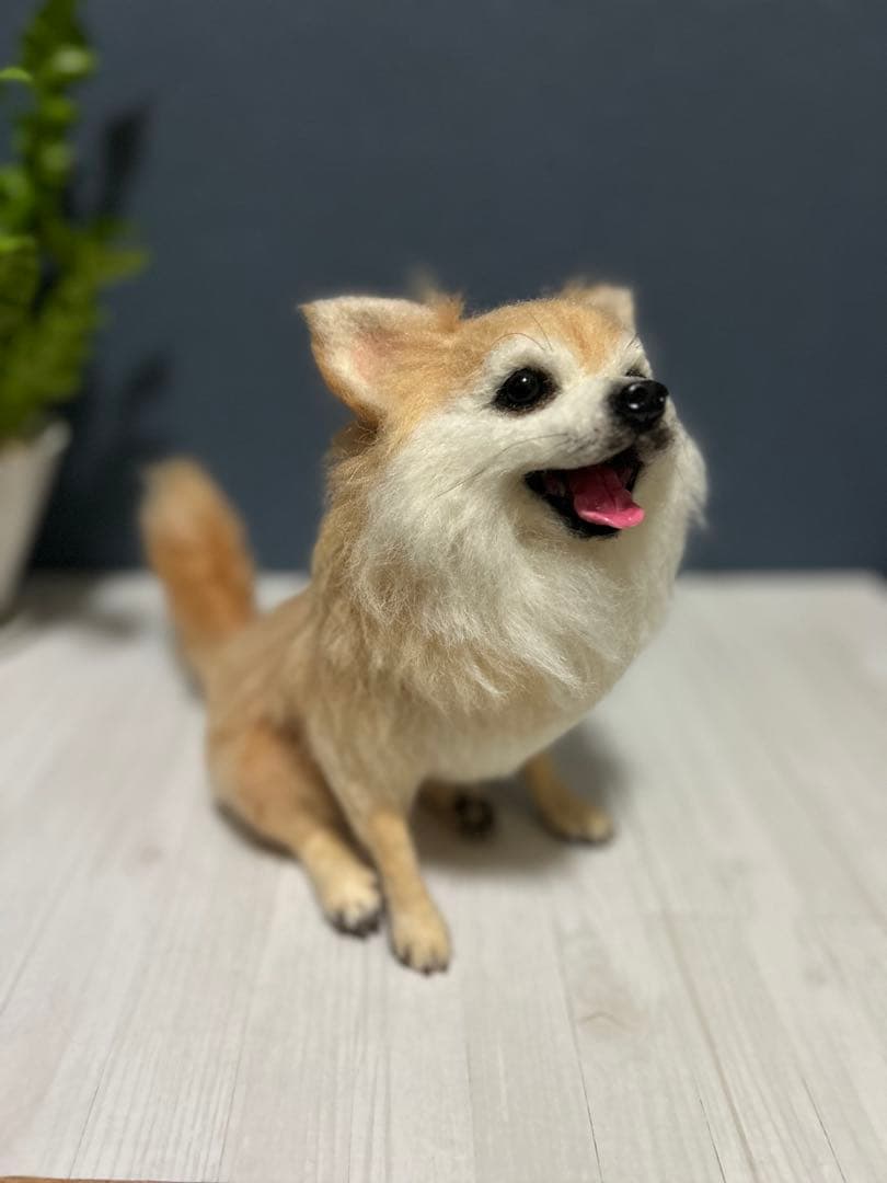 羊毛フェルト チワワ ロング