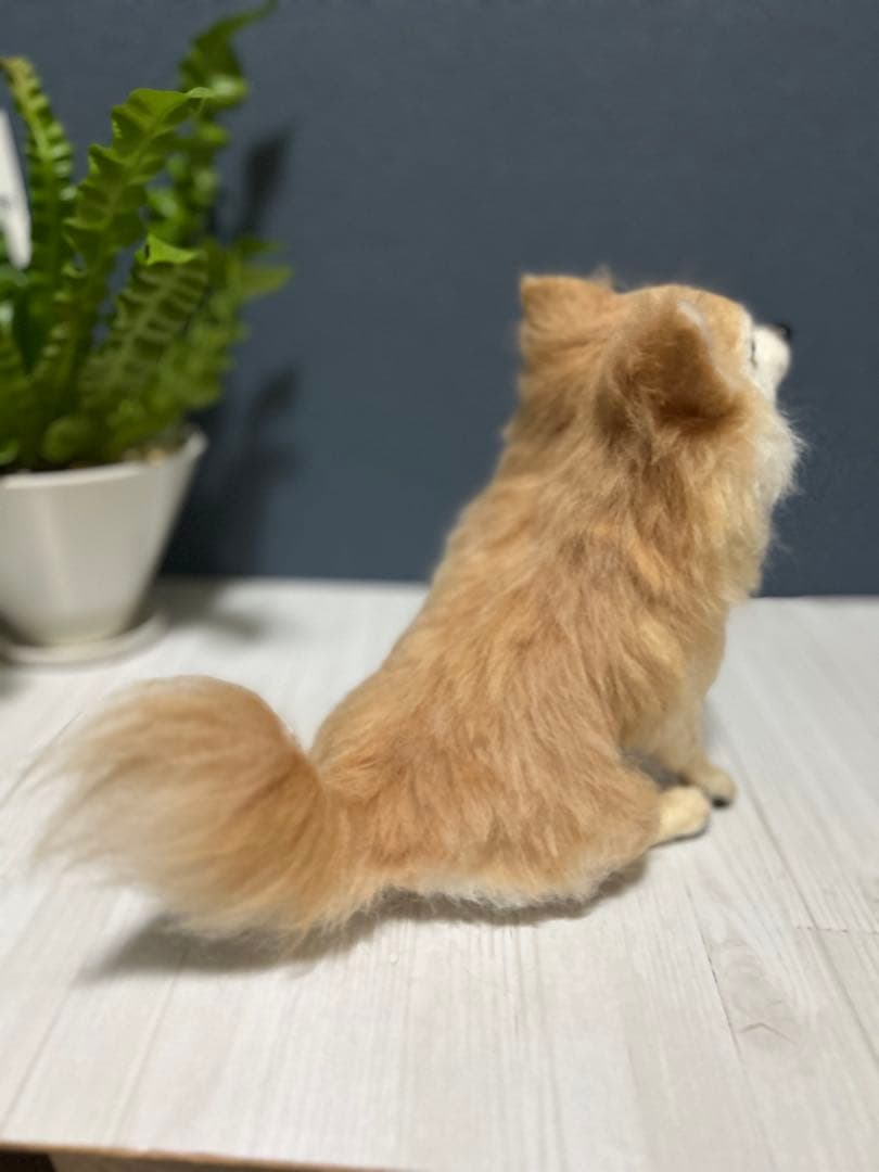 羊毛フェルト チワワ ロング