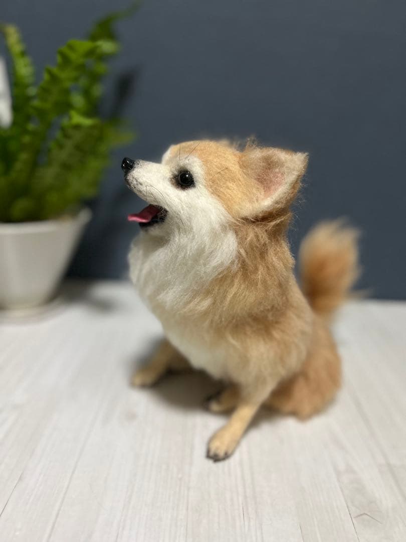 羊毛フェルト チワワ ロング