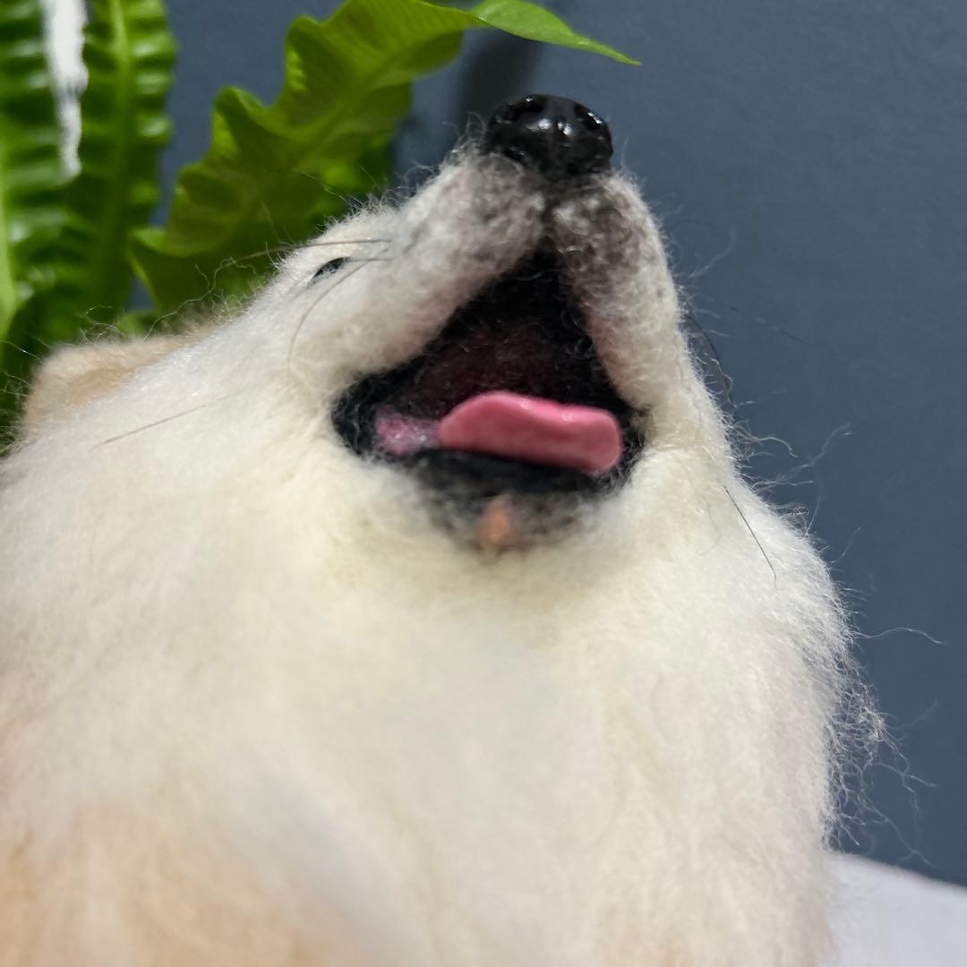 羊毛フェルト チワワ ロング