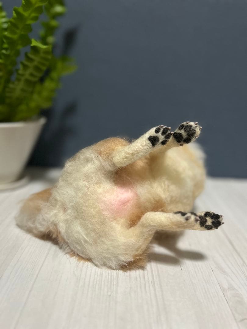 羊毛フェルト チワワ ロング