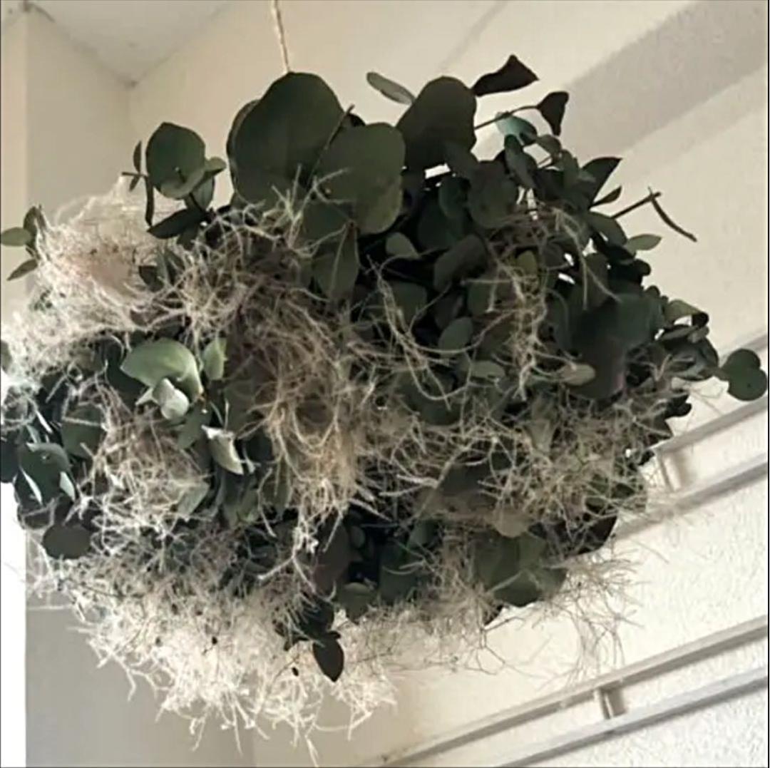 ユーカリとスモークツリーフライングリース