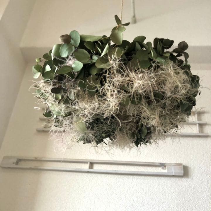 ユーカリとスモークツリーフライングリース