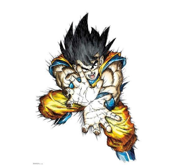 ドラゴンボール ゲンキダマツリ 40周年記念原作イラスト ポスター かめ