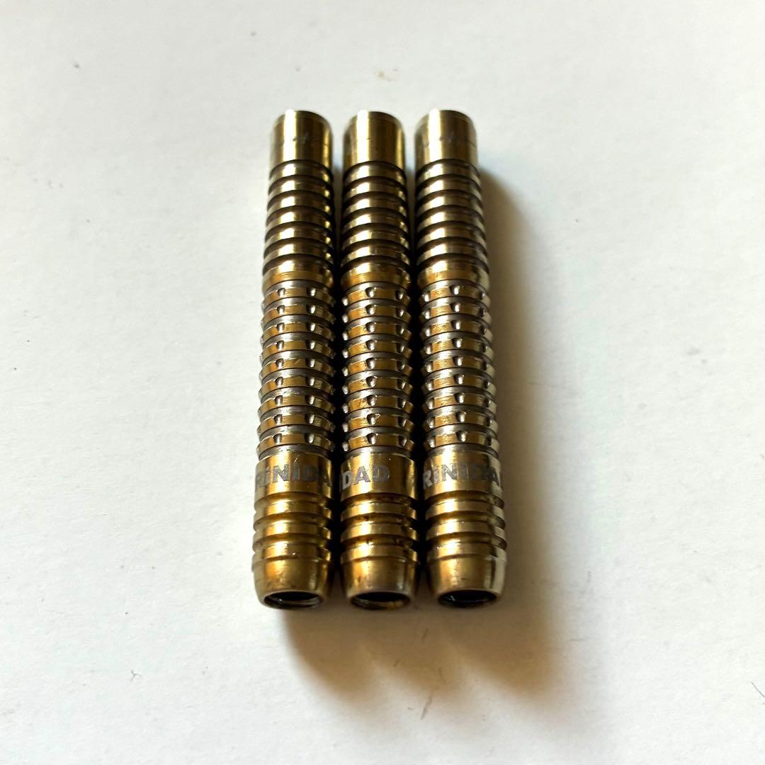 リカルド 浅田斉吾 RICARDOトリニダード ダーツ TRINIDAD