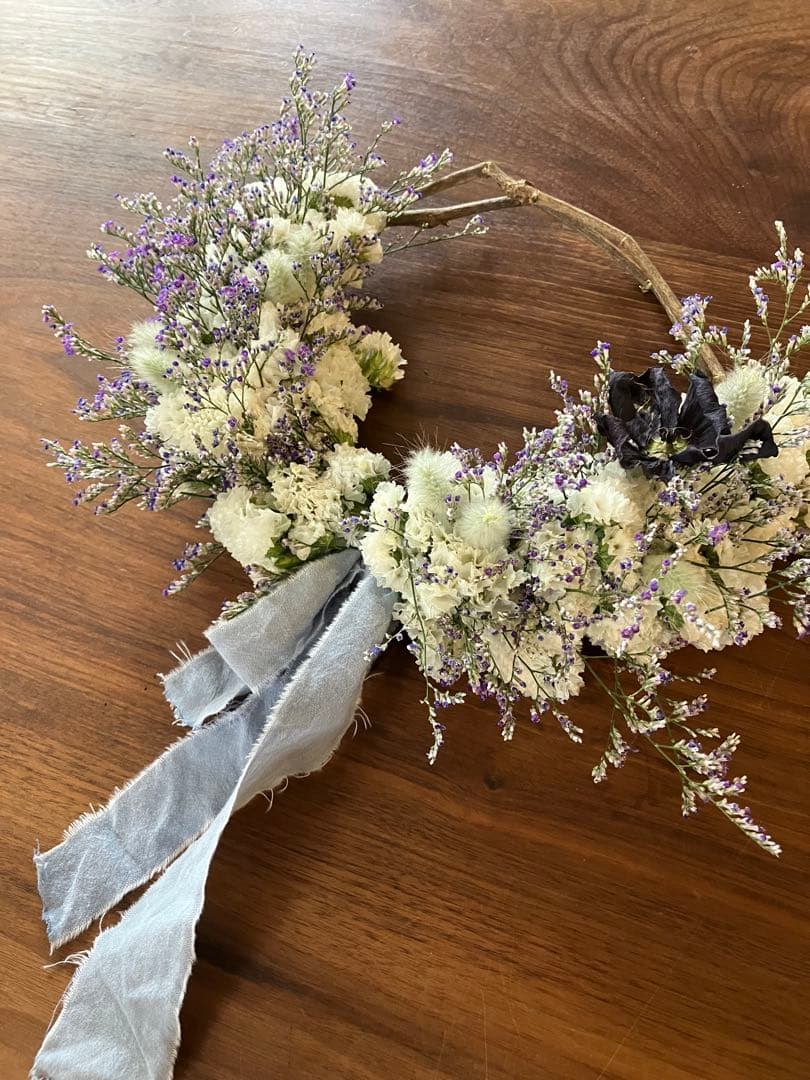 感謝SALEブルーウェーブとスターチスのリース ハイブリットスターチス