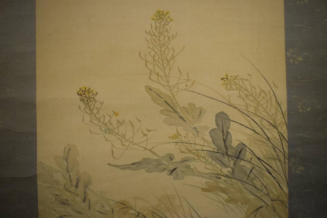 真作/荒木寛畝/菜花飛燕図/桐共箱付/布袋屋掛軸HI-351