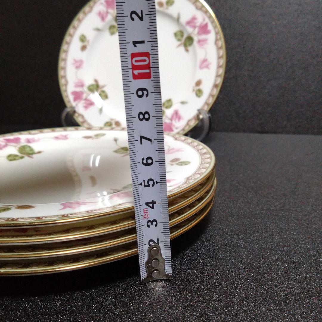 ノリタケ21cmプレート5枚 シクラメンタッチ レストラン