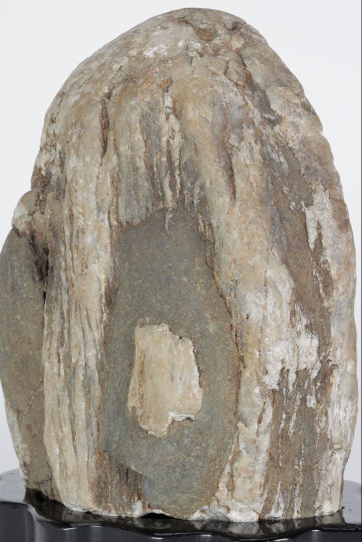 木化石 珪化木 白蛇石 蛇紋石 龍紋石 台座付 4.7kg 天然石 水石 盆石