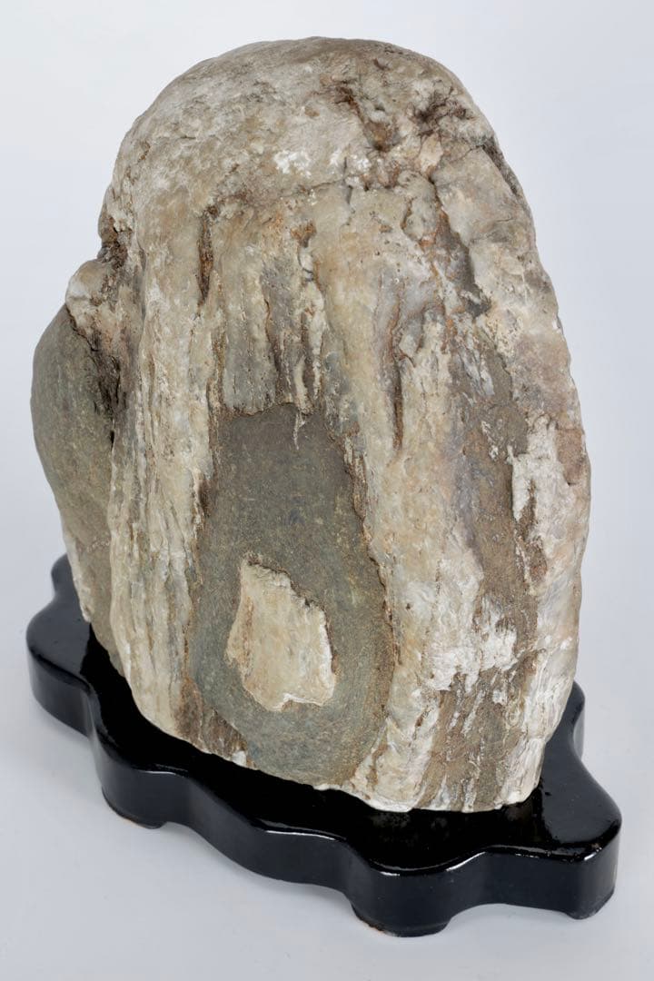 木化石 珪化木 白蛇石 蛇紋石 龍紋石 台座付 4.7kg 天然石 水石 盆石