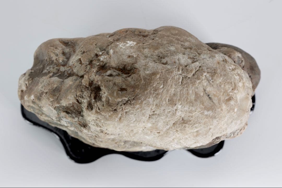 木化石 珪化木 白蛇石 蛇紋石 龍紋石 台座付 4.7kg 天然石 水石 盆石