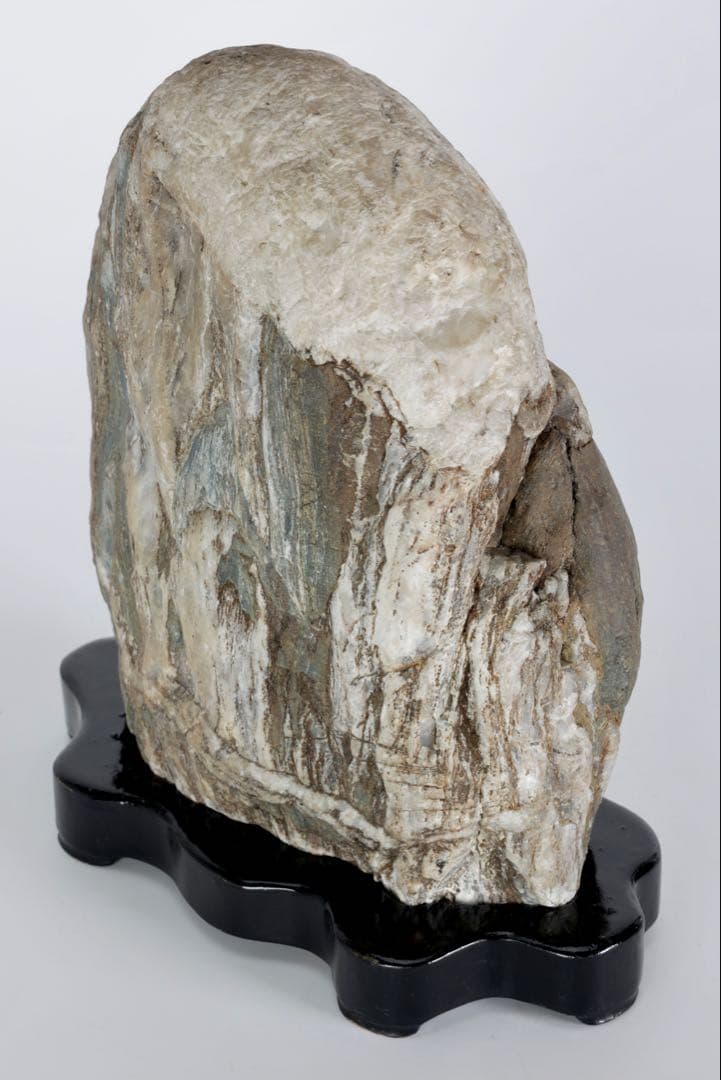 木化石 珪化木 白蛇石 蛇紋石 龍紋石 台座付 4.7kg 天然石 水石 盆石