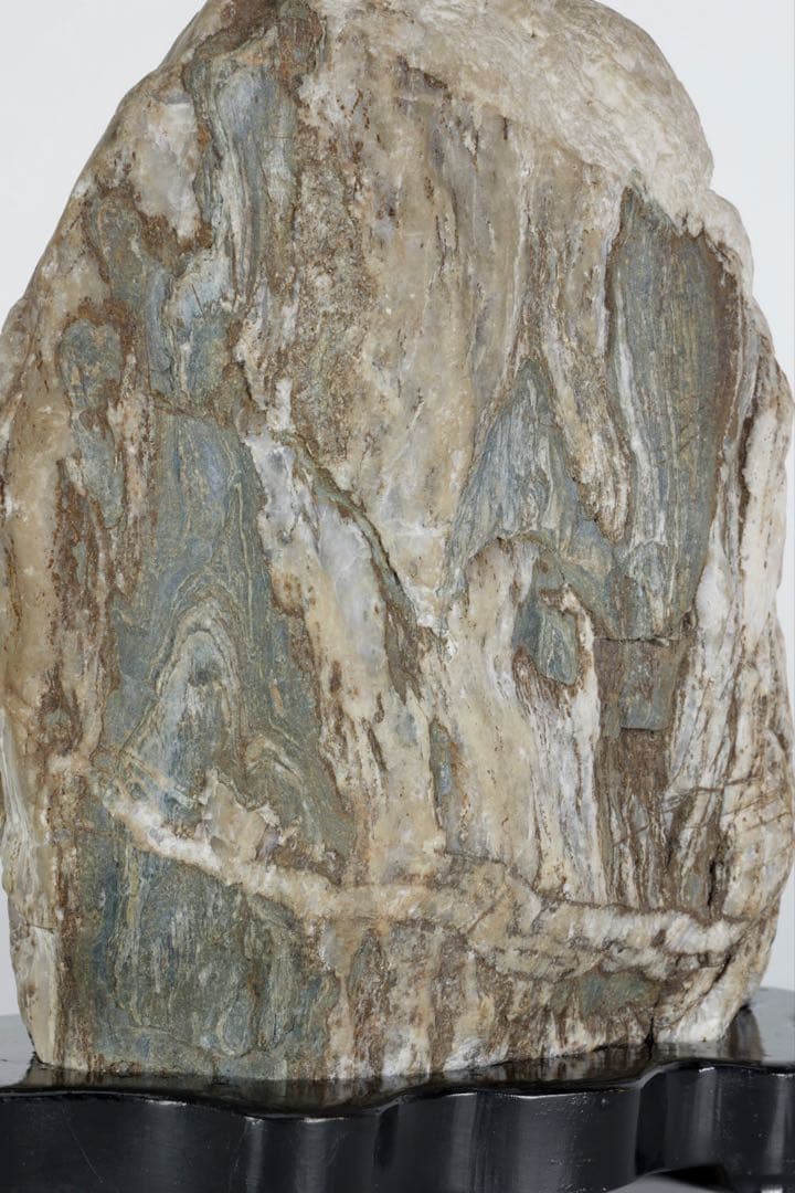 木化石 珪化木 白蛇石 蛇紋石 龍紋石 台座付 4.7kg 天然石 水石 盆石