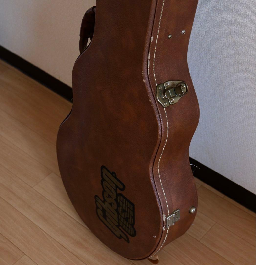 Aria Pro Ⅱ PE-Anniversary 限定モデル ハードケース付属