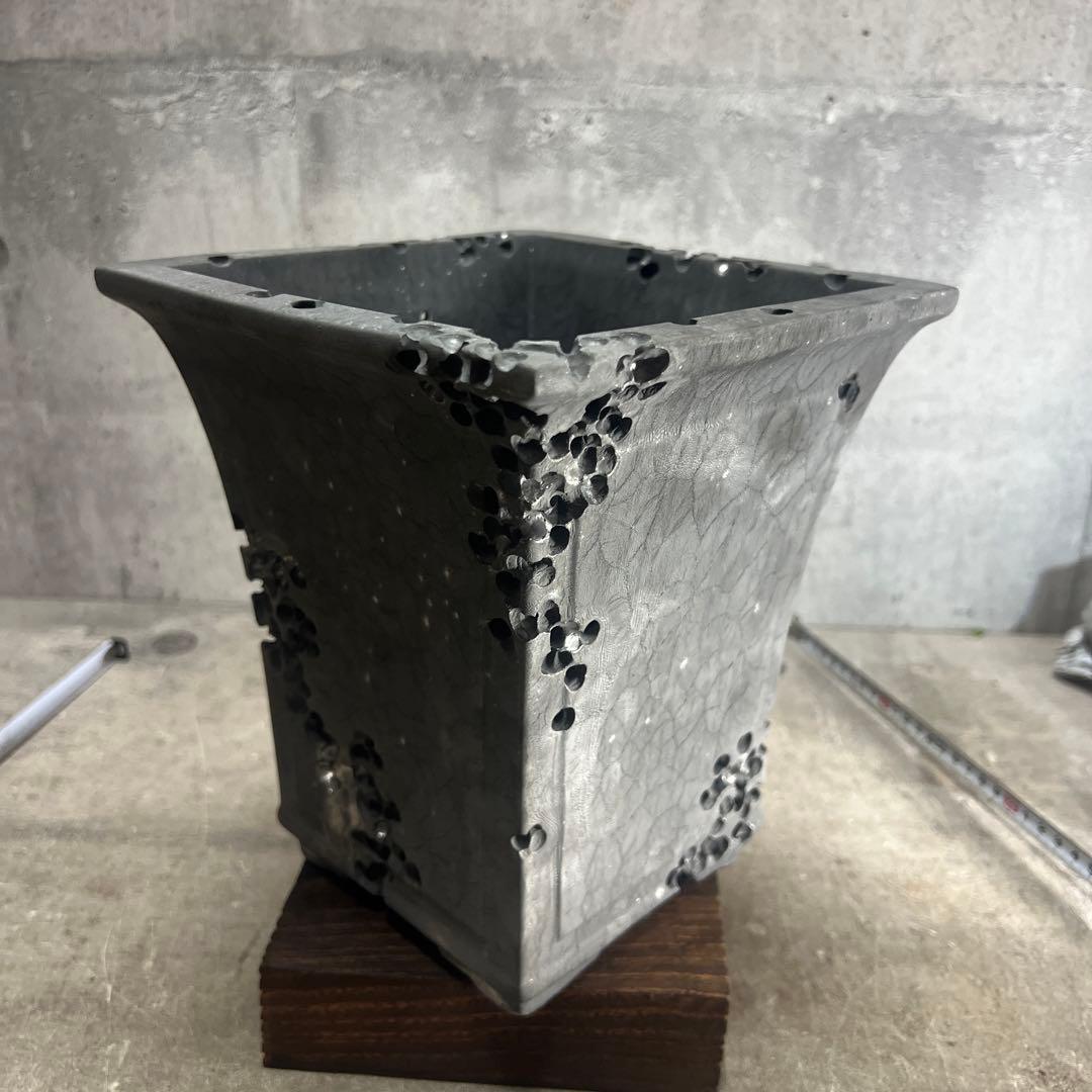 手作植木鉢 LLLサイズ作家鉢 検（ 塊根植物 グラキリス パキプス アガベ)