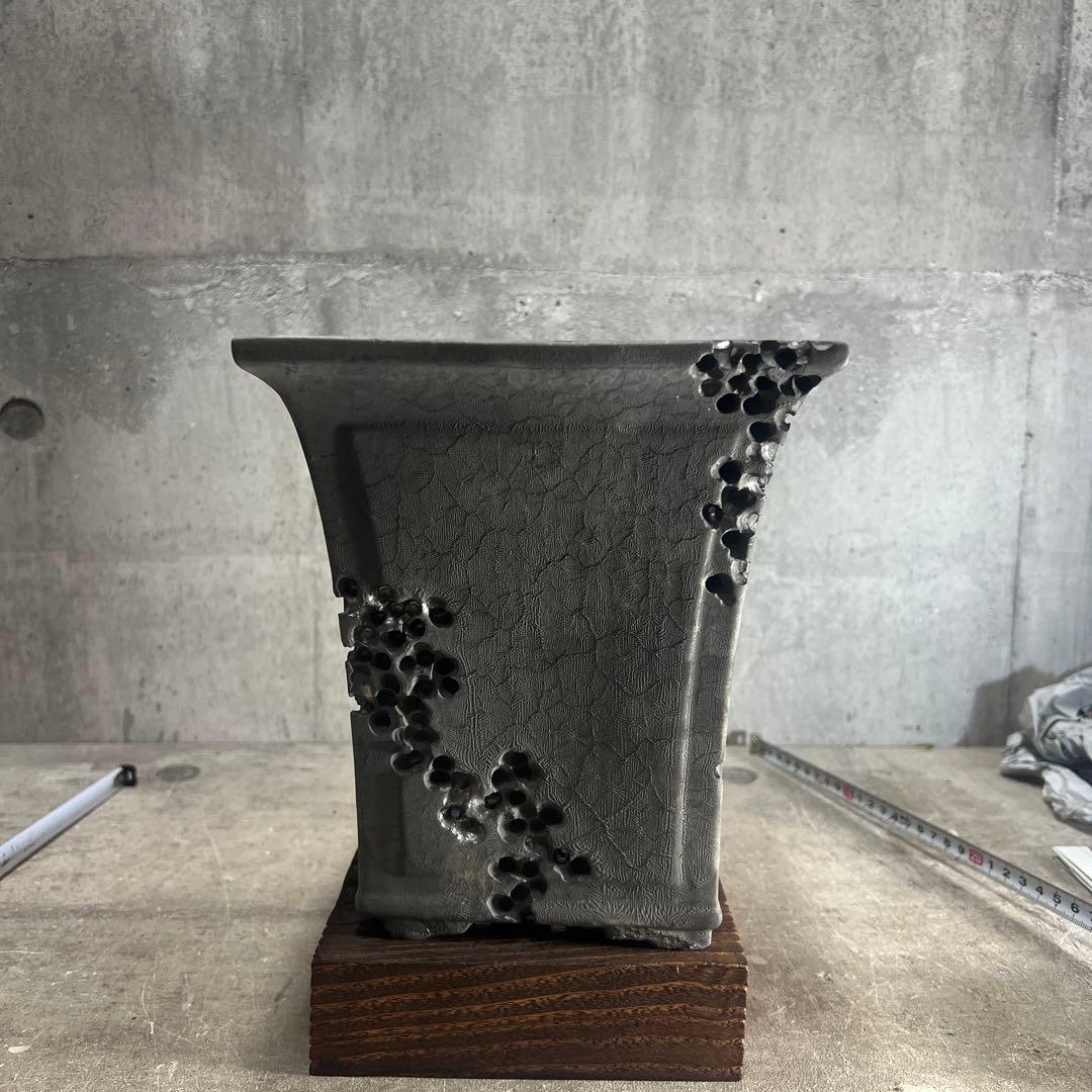 手作植木鉢 LLLサイズ作家鉢 検（ 塊根植物 グラキリス パキプス アガベ)