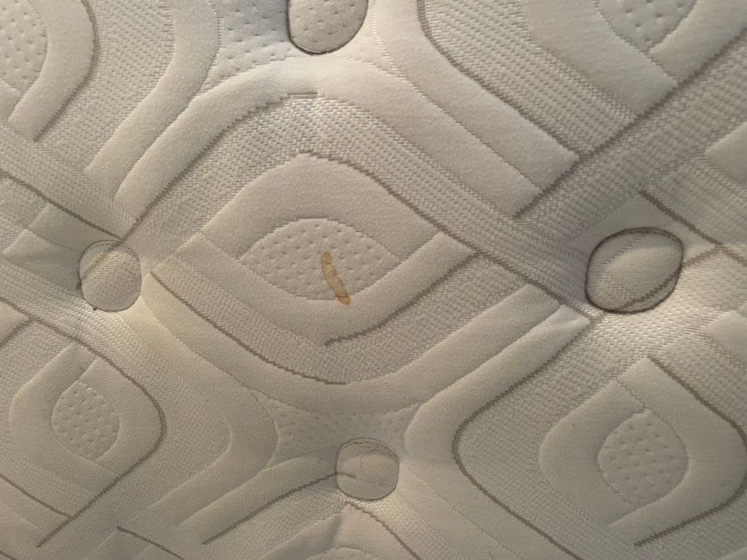 Sealy premium with exclusive シーリー　マットレス