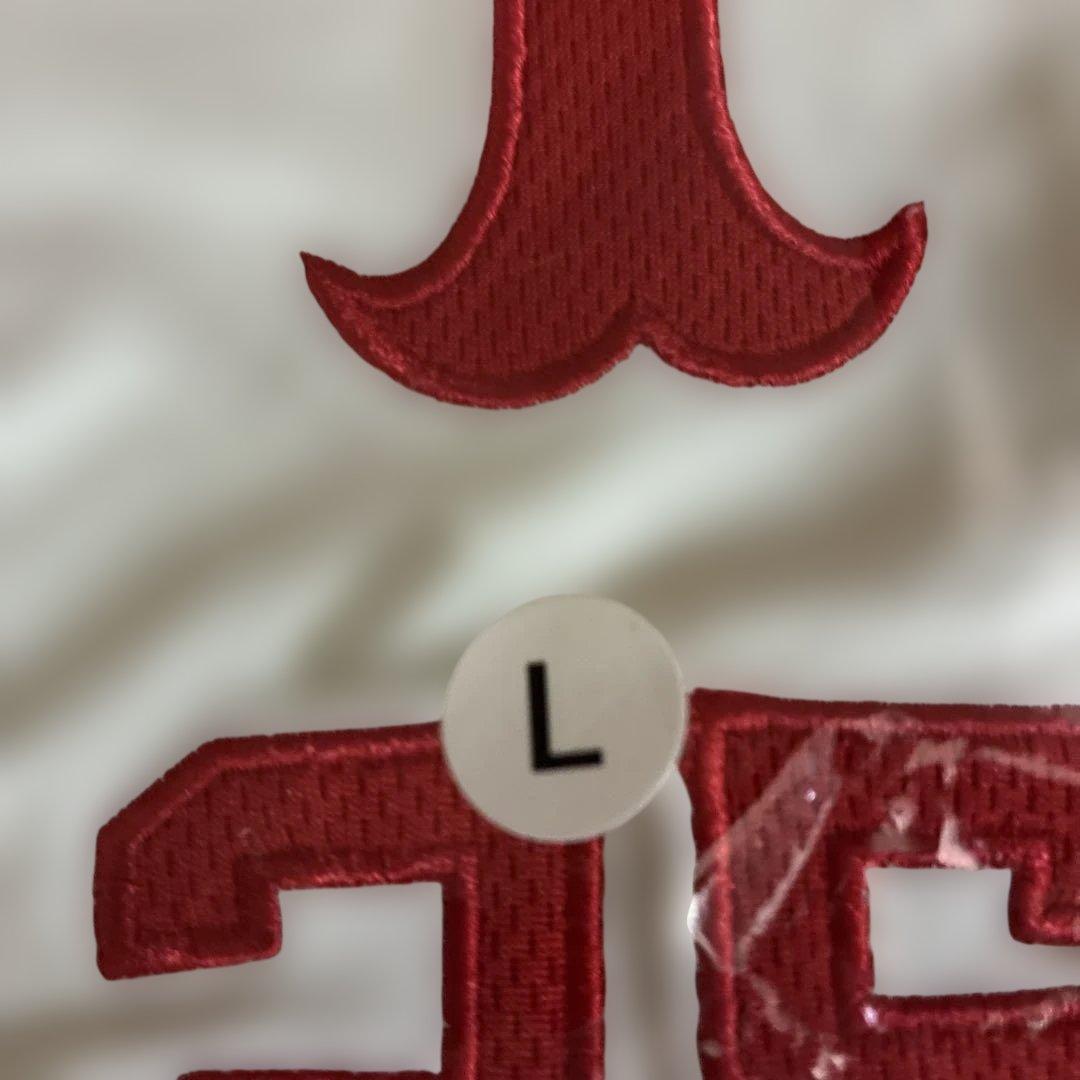 【新品未開封】ポルノグラフィティ　ベースボールシャツ　グッズ　Ｌサイズ