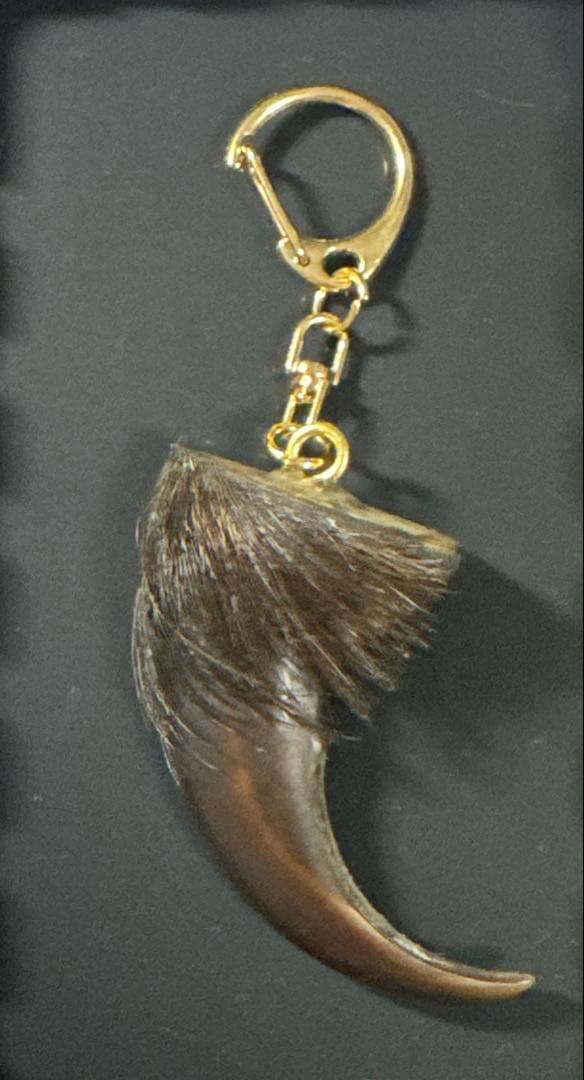 羆 熊の爪 お守り 7cm